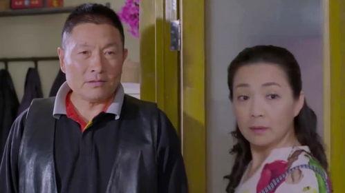 婆妈女婿在线观看,温馨家庭生活喜剧在线观看攻略 第2张 婆妈女婿在线观看,温馨家庭生活喜剧在线观看攻略 第2张